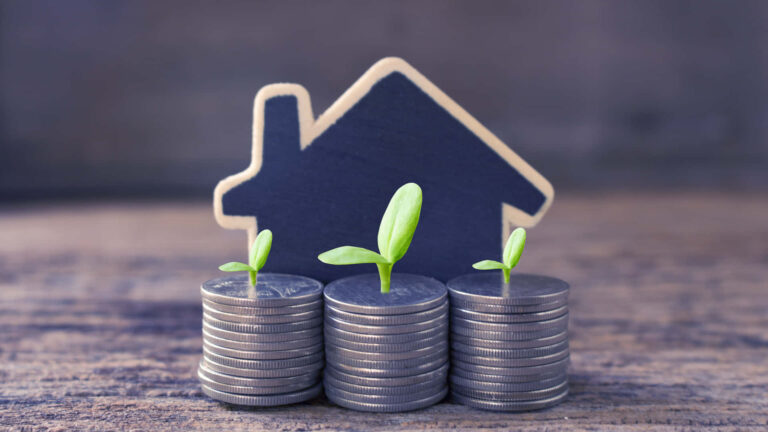 Investment Consultant in Udaipur